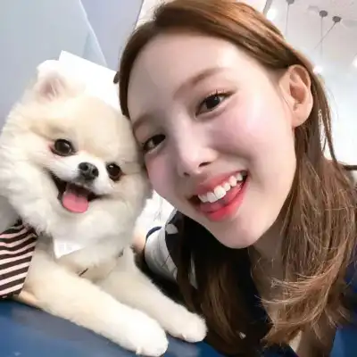 陈正清